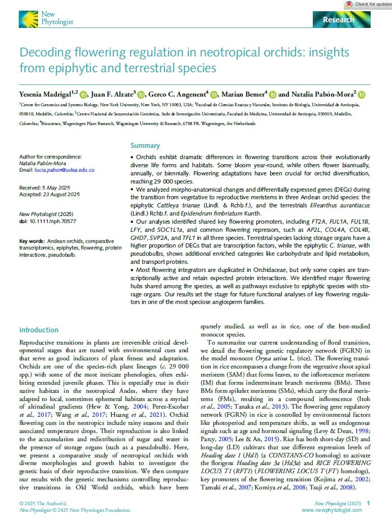 Natalia Pabon Mora 🇨🇴🌿🌷 tweet media