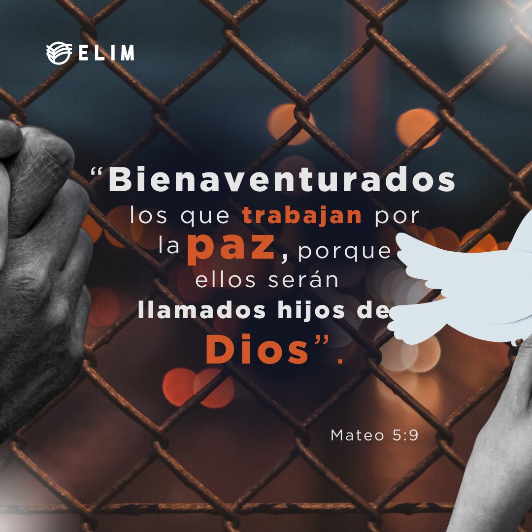 misionelim's tweet photo. 🕊️ La paz que viene de Dios nos llama a estar cerca de los que sufren.
Porque donde hay amor, perdón y misericordia, allí florece el Reino. ❤️🌿
#DíaInternacionalDeLaPaz #AmorQueTransforma #ElimUnidosAvanzamos https://t.co/agpxHywYOB