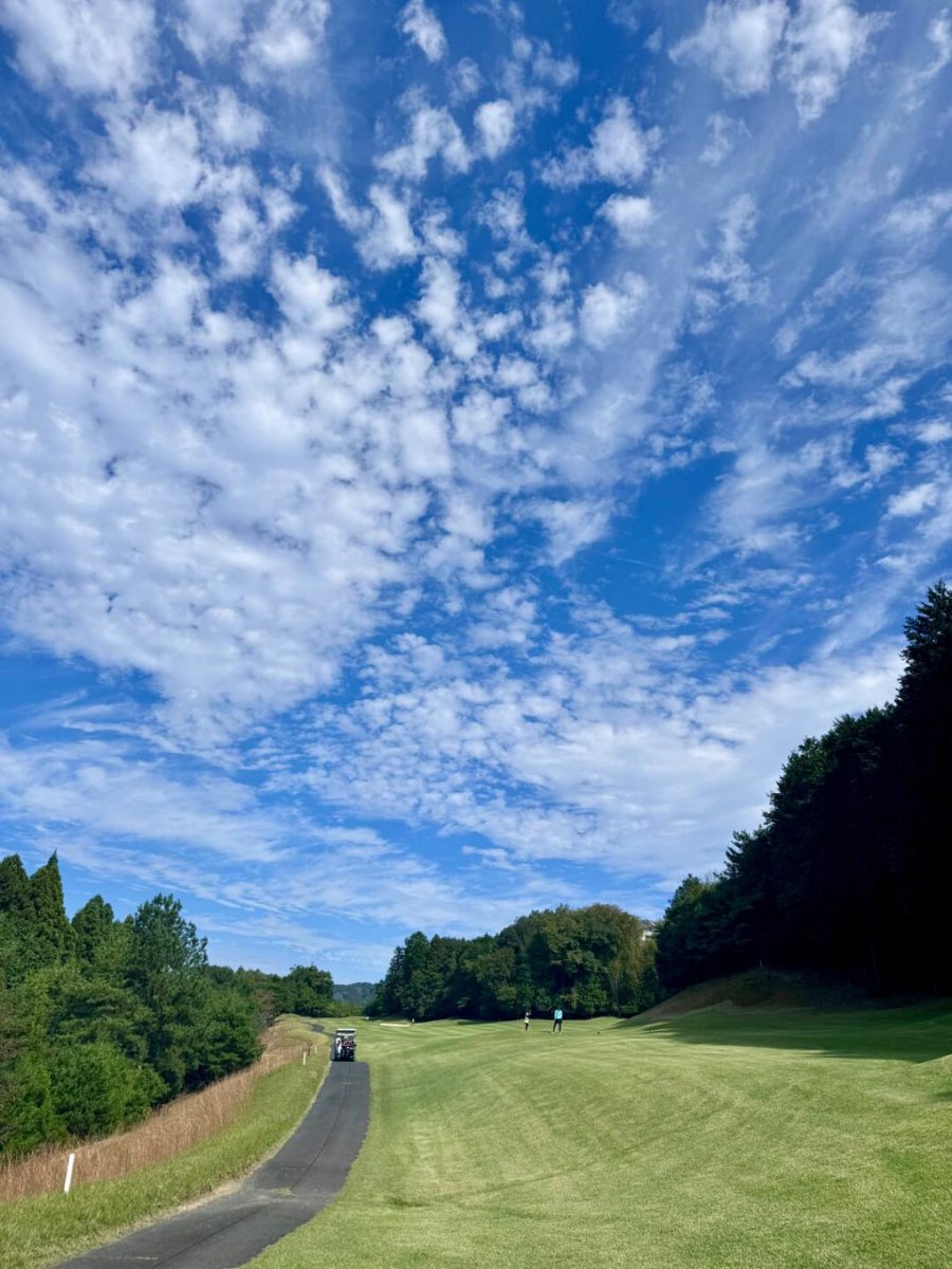 cailin_007's tweet photo. A perfect day to hit the greens and clear the mind 💚⛳ https://t.co/N6XFGyDz6c