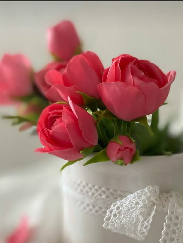 South Bird (@sadiqhaw1) on Twitter photo 