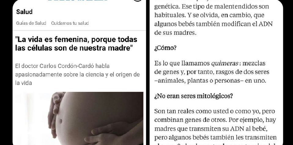 Doña_casilda (@casildadona) on Twitter photo 