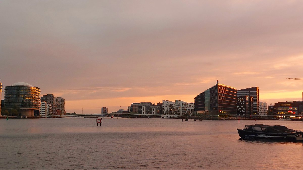 Fani dessinatrice tweet media