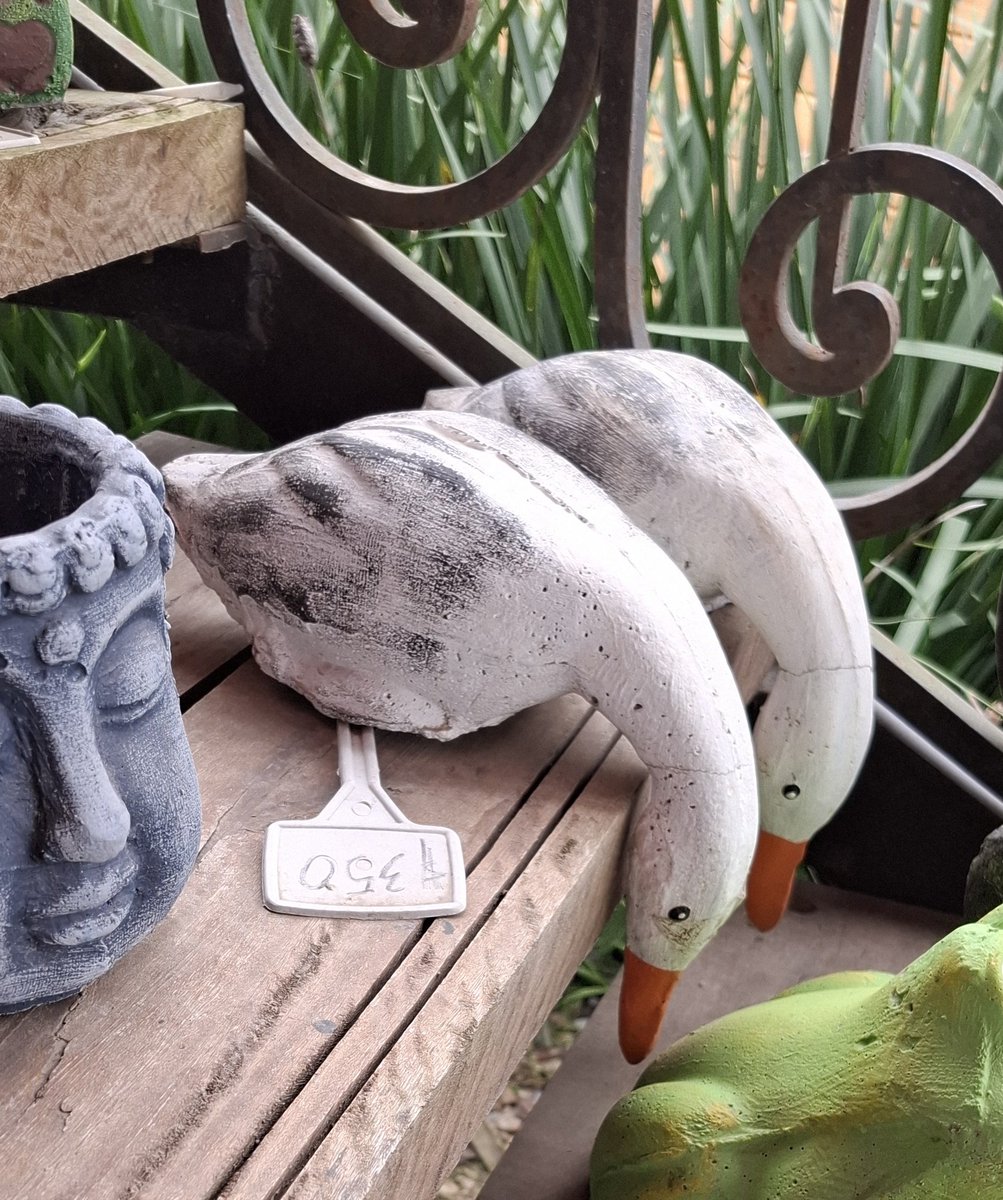 rusa_sov's tweet image. Los que te dicen que te dan contra todo (?)