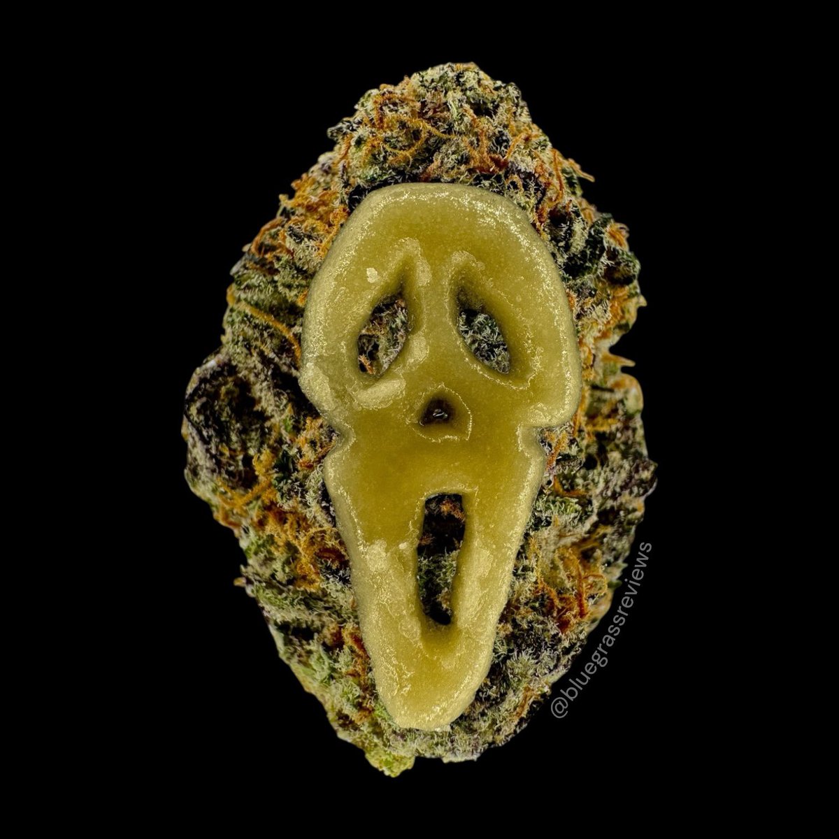 bgrassreview's tweet photo. What’s your favorite scary movie? Made this yesterday. Flower is Moonbow and live resin is Stardust both from Tesoro Hemp https://t.co/vkAHTshGxs