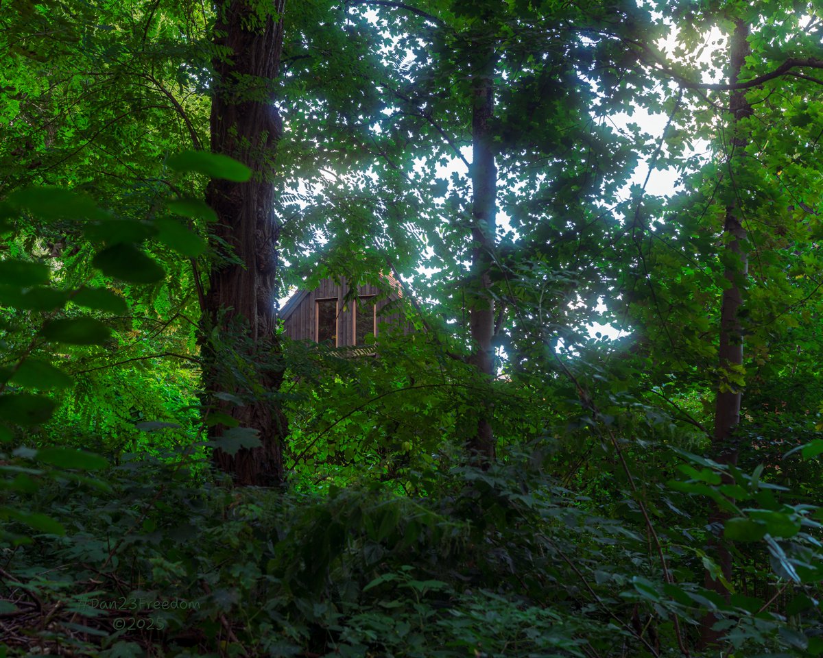 dan23freedom's tweet photo. I Always Feel Like Somebody's Watching Me
ยท
๐ท 1/50 sec at f/6,3, ISO 400, 50 mm standard 24-50mm โ๐ค #dan23freedom
#Photography #Nature #Rural #NatureWalk #Trees #Germany #ForestMystery #HiddenHouse #EveningWalk #VerdantVigil #EerieSerenity #WoodlandDwelling #SecretSpaces https://t.co/EKvvFpKTiH