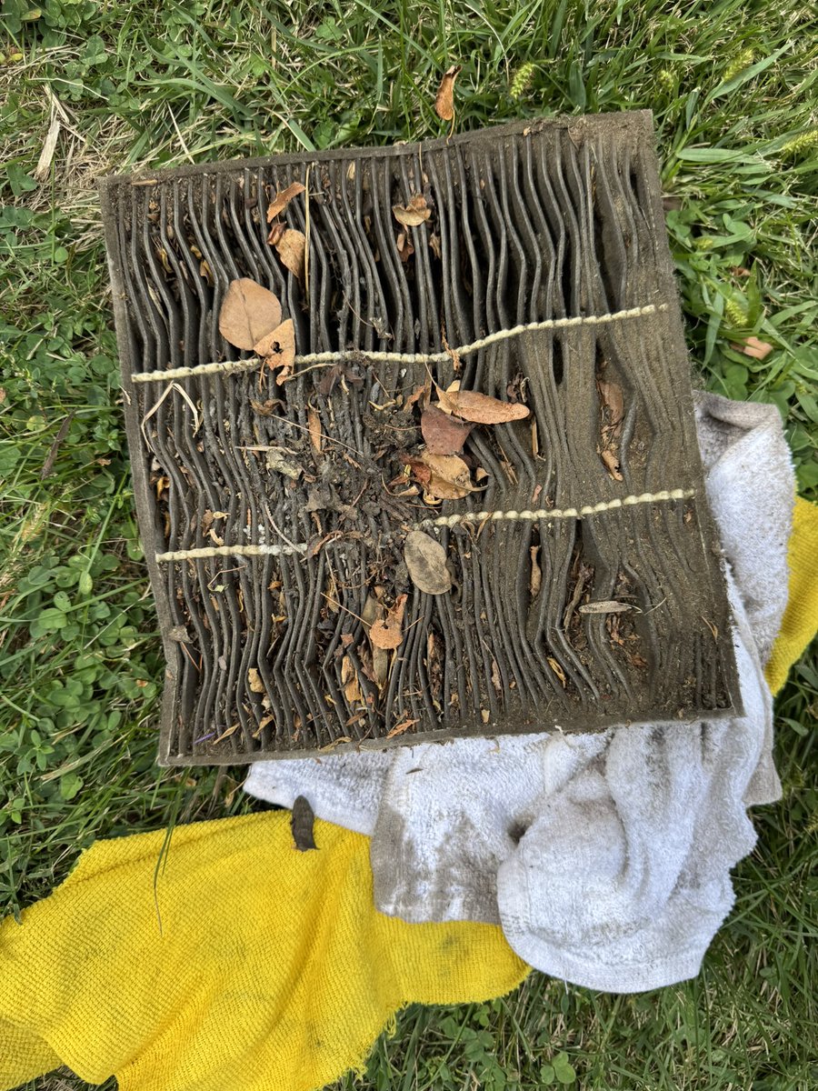 compoundkiller's tweet image. Little cleaning shesh on the Tahoe today , truck is new to me it’s a 2015 this is a reminder to change your damn cabin filter … grossssss