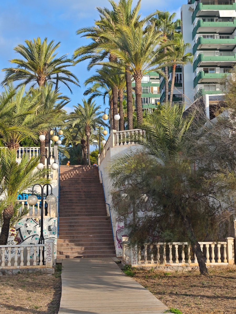 KatySnchez's tweet photo. Las escaleras tienen encanto y si van flanqueadas por palmeras además tienen belleza. Lástima los graffitis #escalera #paseo #palmeras #farolas #hacerfotos #Benicasim https://t.co/s3Gsy1lbFm