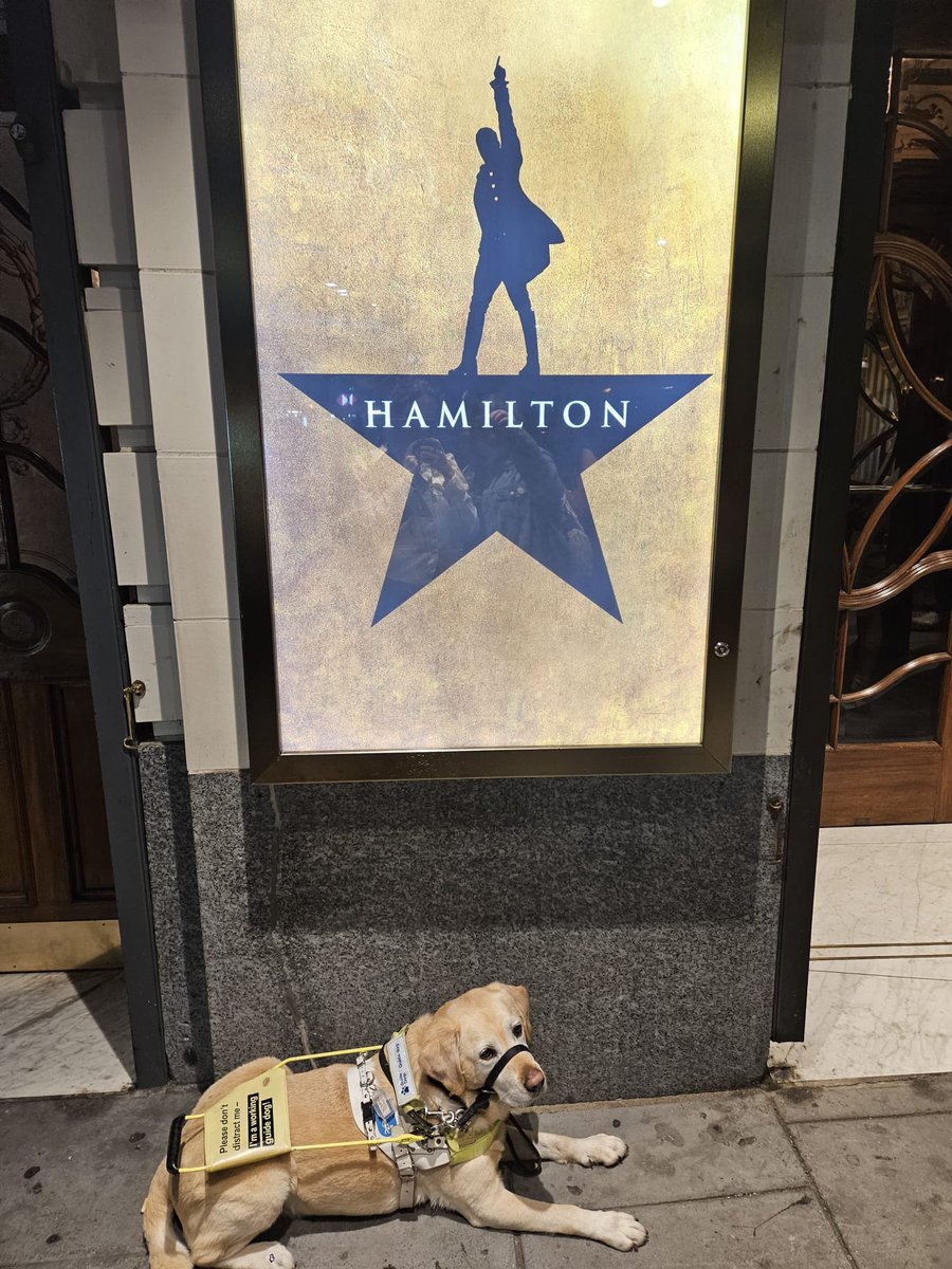 Had a wonderful time    <a href="/HamiltonWestEnd/">Hamilton West End</a> <a href="/guidedogs/">Guide Dogs</a> Mabel was welcomed back &amp; well looked after by staff while I enjoyed my 2nd visit with my eldest &amp; their partner. Us humans were also looked after well. And of course it was a FANTASTIC show. Thank you Hamilton cast and crew!