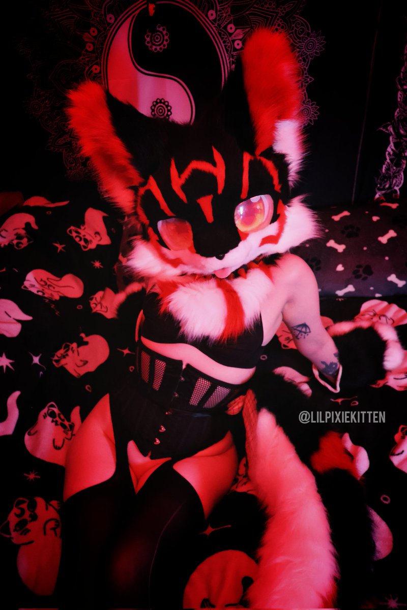 Would you come play with this demonic floof? 🖤