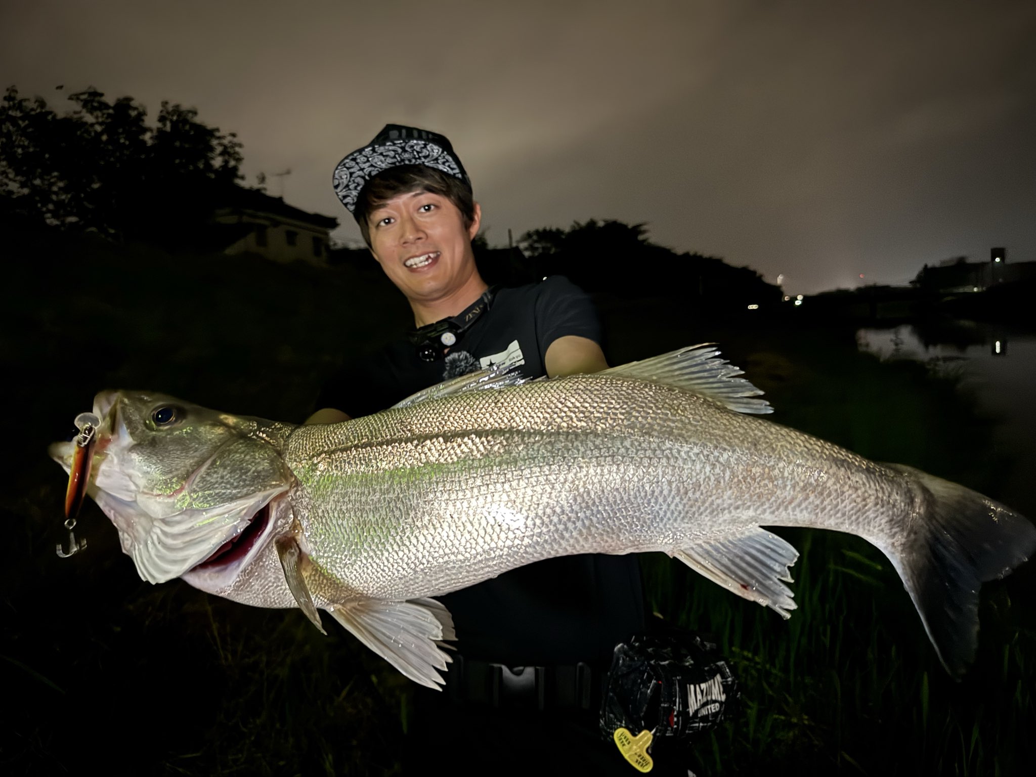 半魚人 高橋優介 on X: 