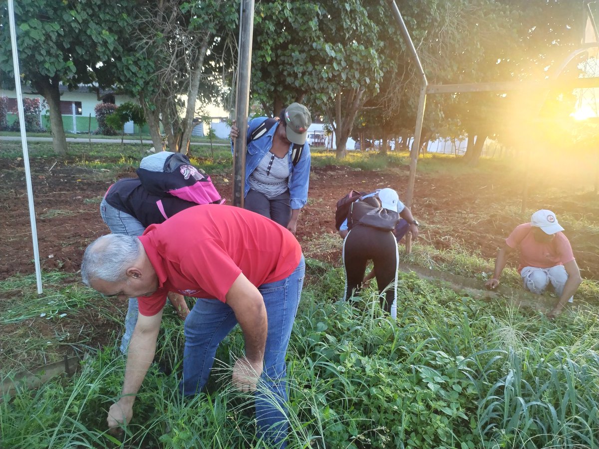 KatiaRodrguezR2's tweet photo. 👉👉👉 Día de aporte decisivo en Trabajo Voluntario desde la #UBPC de Plantas Medicinales del municipio #Boyeros en la Habana, presentes cuadros y trabajadores de @Cuba_CTC y sus Sindicatos. 🇨🇺🇨🇺🇨🇺 https://t.co/mXQr8OxjEn