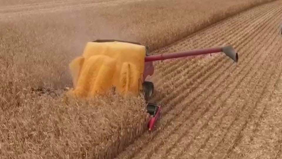 Jacob Wade tweet media