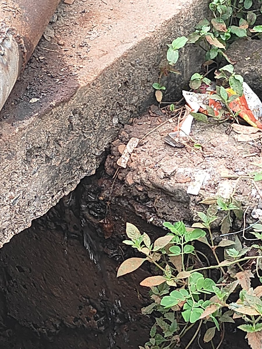 brajesh Patel tweet media