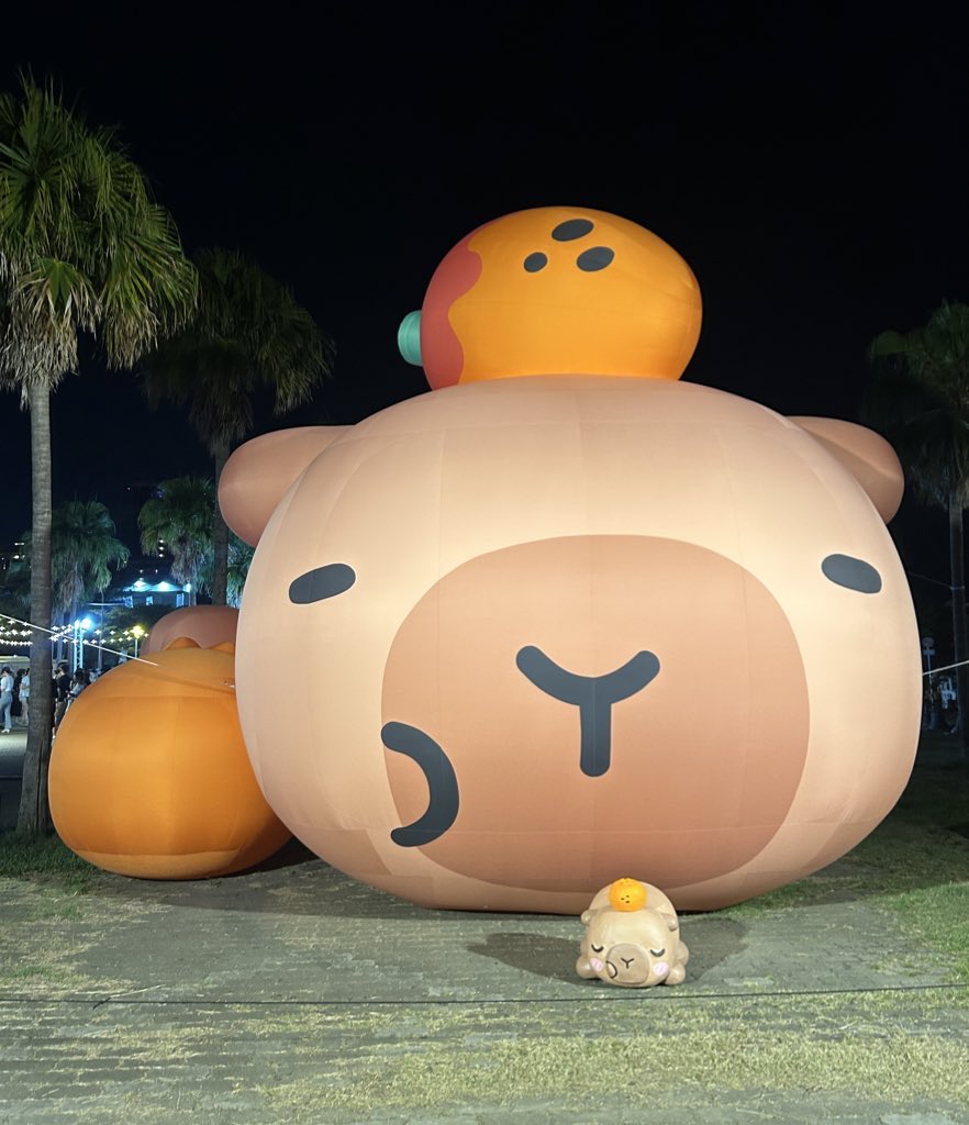 𝓒𝓲𝓷𝓭𝔂꧂ tweet media