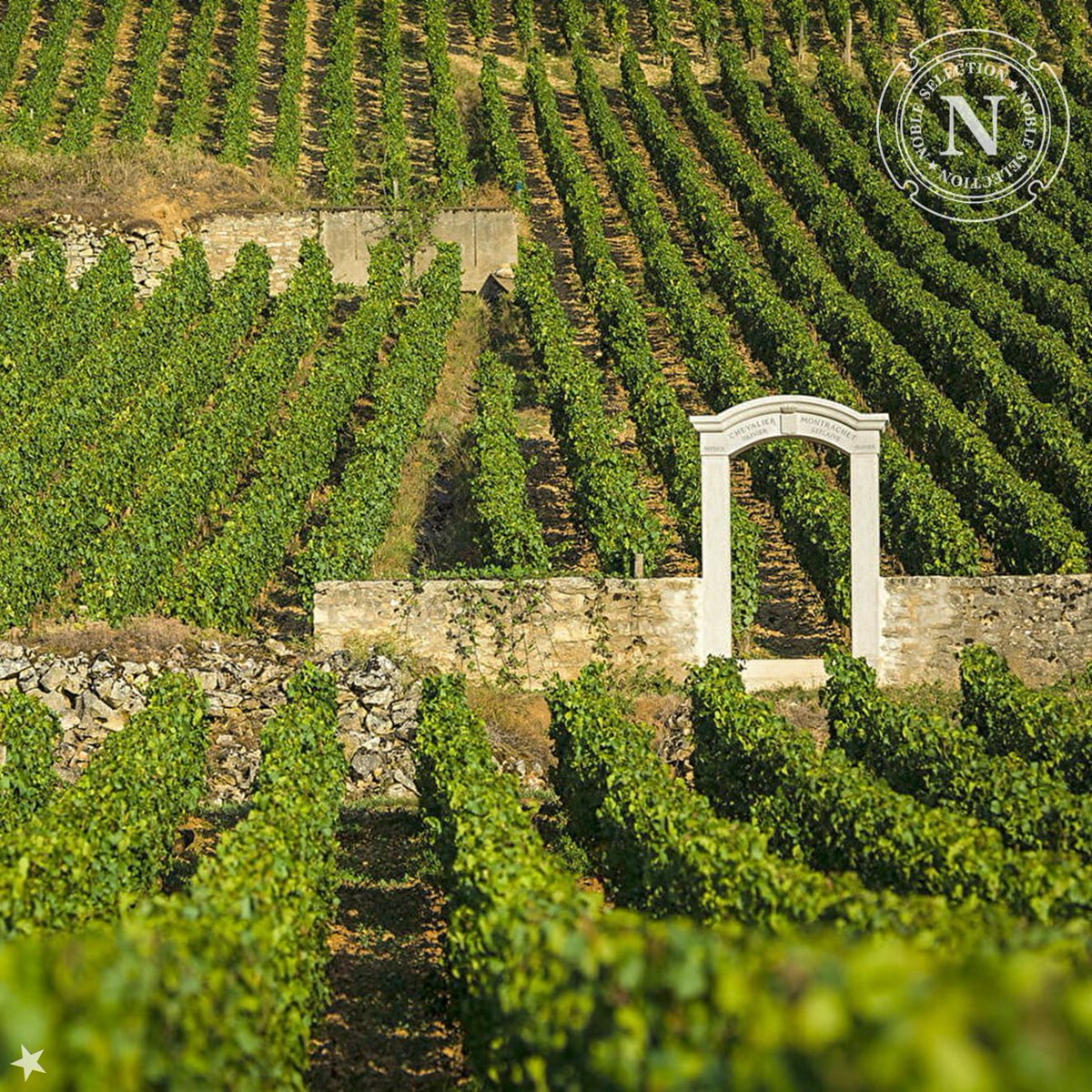 Domaine François Lumpp – Givry 1er Cru "À Vigne Rouge" 2023 : un rouge grenat aux notes de cassis, cerise, violette et touches grillées. Tanins fins, bouche dense et élégante. Disponible en loterie à <a href="/LaSAQ_officiel/">lasaq_officiel</a> jusqu’au 22 sept. (code : 15479341) 👉 saq.com/fr/15479341