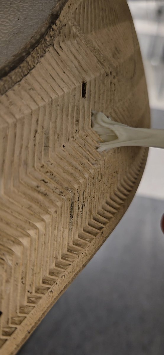 "Fuck . . . Thats gross . . . And there's an ant in it . . . Poor guy, I'm sorry."

#macro #macrophilia #giant #malegiant #micro #microphilia #shrunk #shrinking #giantandtiny #sizetwitter #findom #cashmaster #cashpig #feet #malefeet #footfetish #giantfeet #shoecrush