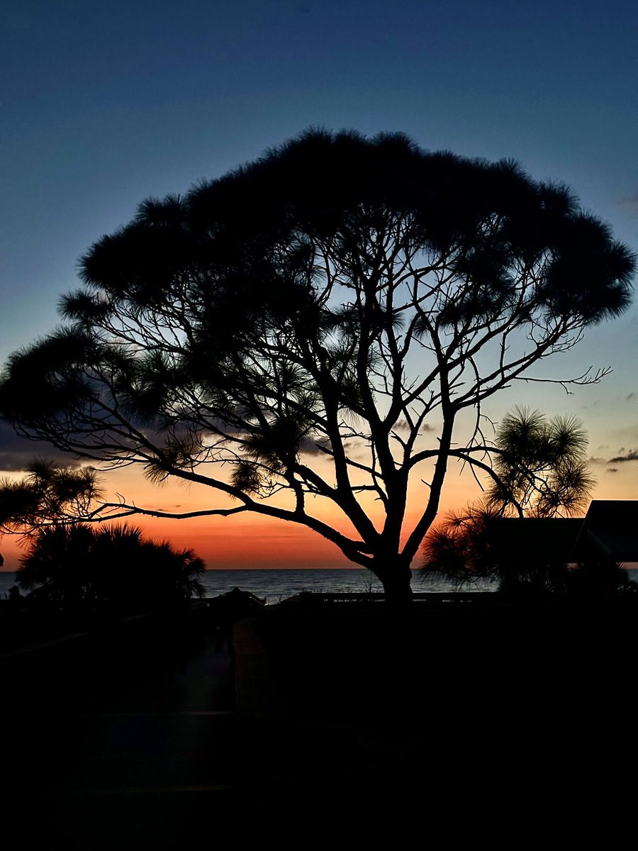 DeepGreens2's tweet image. #SundaySharing #PhotoOfTheWeek from last night as I was leaving the beach I turned around for one more quick look and I saw this. Made me feel blessed and grateful that I live in the place with most stunning sunsets. ✌️