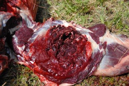 Achtung you Filthy Animals...At 135 yards ( C.K distance)this Kodiak Bear was dropped with a single shot.  The 30-06 bullet broke both shoulders and spine  before it  completely  passed through and left a massive six inch exit wound. Anyone have similar Big Game pictures. Cheers