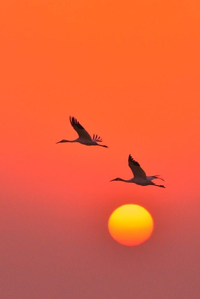 SairaaliMM's tweet image. Going home,  evrning time.  Stay happy