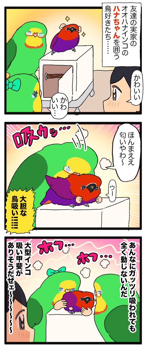 えるぽぴ ▶︎5/4,5 鳥フェス名古屋、金沢 tweet media