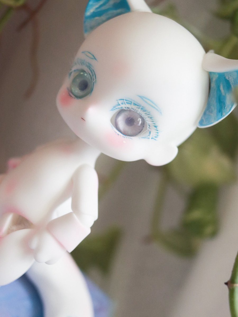 くらげうみ。🪼🌊駒海神事店 (@kurageumi44) / X