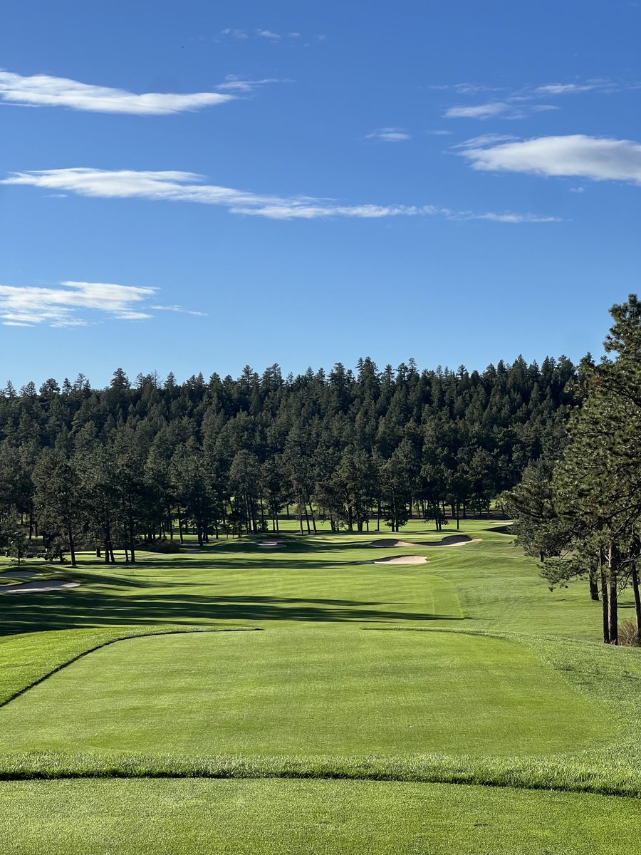 Scott Erling tweet media