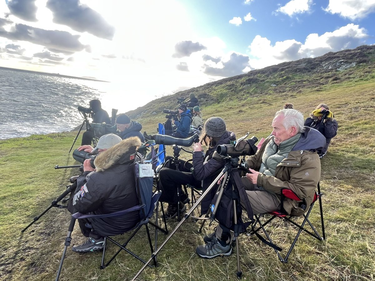 Great to see many local birders at Point Lynas this morning. 1 adult Sabine’s Gull, 1 Pom Skua, 11 Arctic, 1 Great Skua, 2 Leach’s Petrel, 945 Common Scoter, 4 Brents, 7 Black Tern, 160 Sandwich, 150 Commic, 15 Rt Diver, + 6 GC Grebe with <a href="/AlanDaviesbirds/">Alan Davies</a> <a href="/OwenPar91687609/">Owen Parsons</a> <a href="/zspaul/">Zach Paul</a>