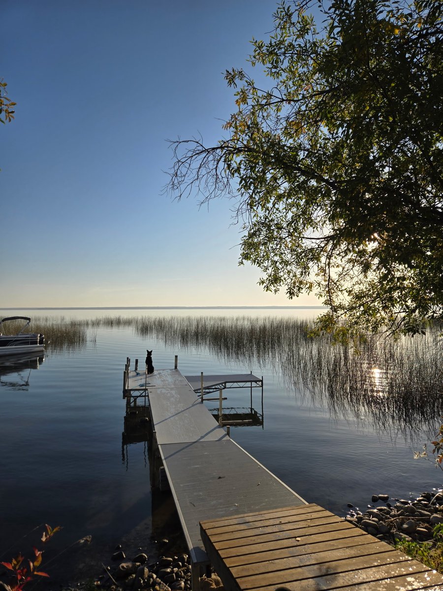 Turtle Lake Watershed tweet media