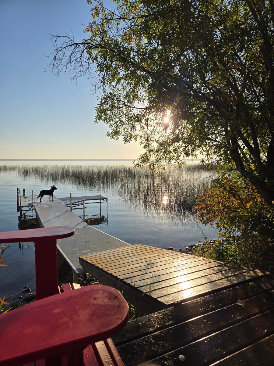 Turtle Lake Watershed tweet media