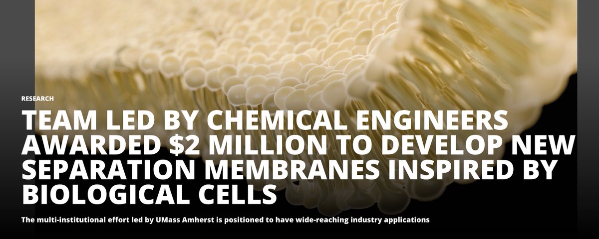 We are so excited to have been awarded $2M from the <a href="/NSF/">U.S. National Science Foundation</a> #DMREF program to develop bio-inspired membranes in collaboration with Jessica Schiffman, Charles Sing, Cecilia Leal, Viviana Monje, and Jeffrey Ethier!
umass.edu/news/article/t…