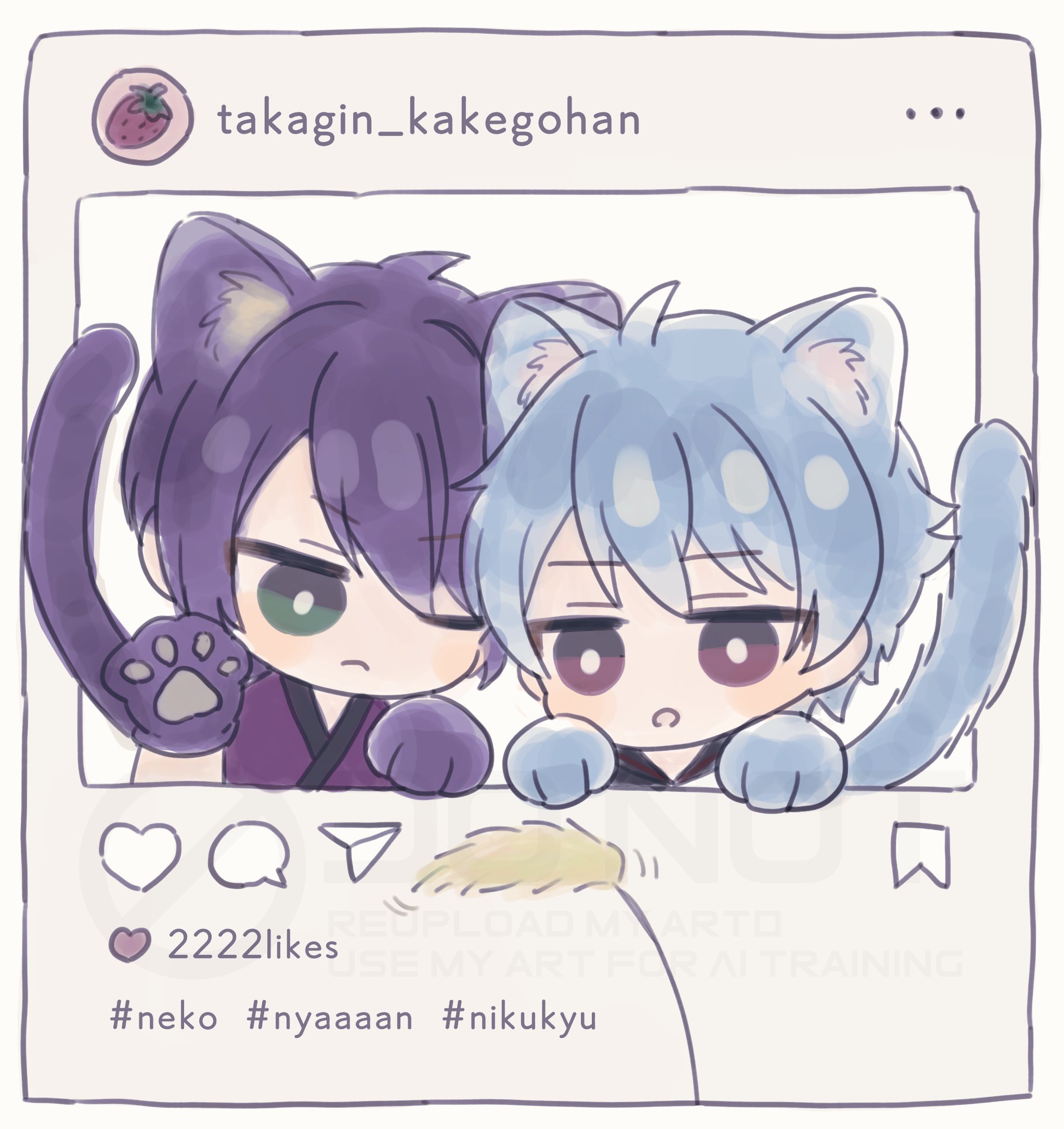 猫のイラスト 「ナナくん・シポくん」 夏猫🌻 (@04gaNo1daze) on X