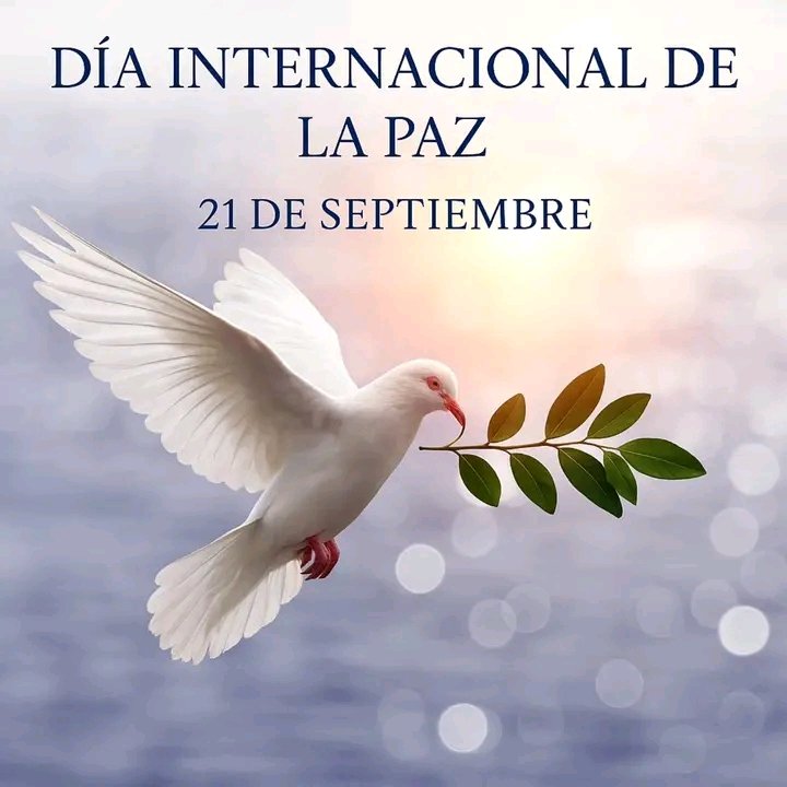 niurkaencomil's tweet photo. La paz no es sólo la ausencia de guerra, sino la justicia, la solidaridad y el respeto a la dignidad humana. Hoy más que nunca @encomil denuncia las amenazas imperialistas contra Venezuela, el genocidio en Palestinana
@EloylvarezMart1 
@micadifo 
@jorge_hila85300
@pazmundial https://t.co/xcj8qyIVba