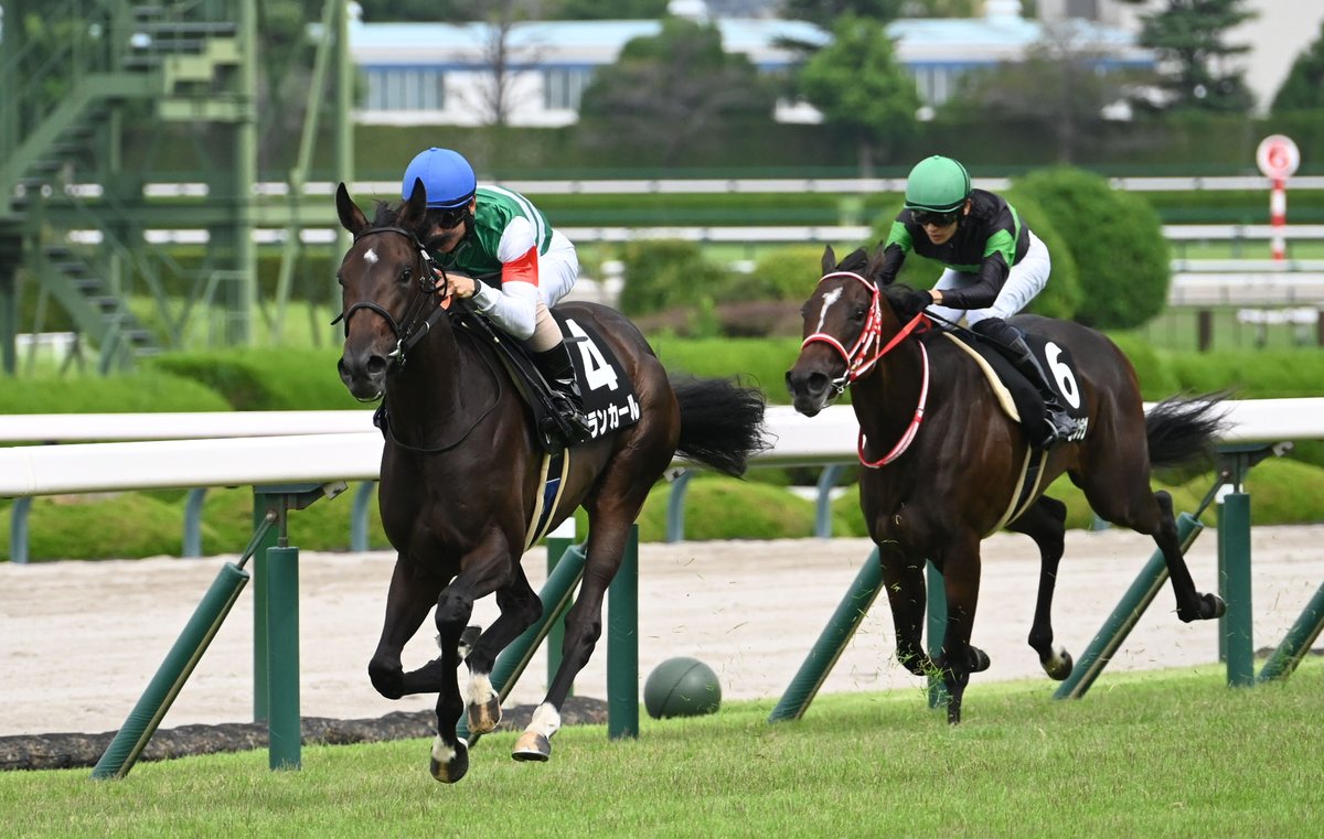 鞍上は共に #北村友一 騎手。 【土曜 阪神】 8R 野路菊S オープン
