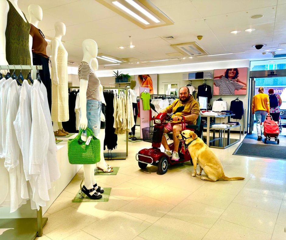 Active Mobility tweet media