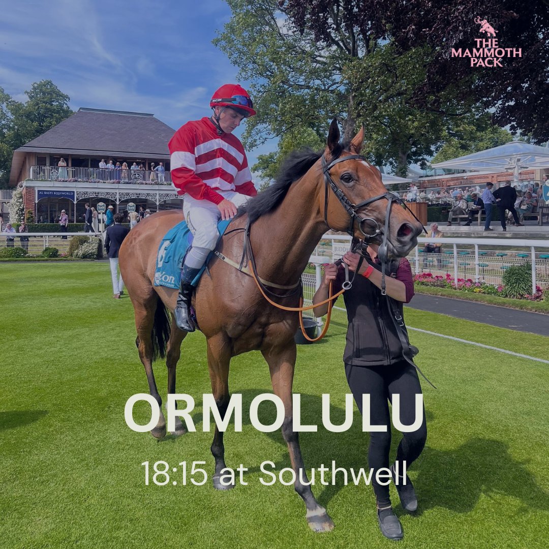 🚨Confirmed runner 🐎

Ormolulu returns to <a href="/Southwell_Races/">Southwell Racecourse</a> today for the 7f Fillies handicap.

She's won there four times before for The Mammoth Pack and we're hoping she can return to the winners enclosure this afternoon.

<a href="/GemmaTutty/">Gemma Tutty Racing</a> #flatracing #racingsyndicate