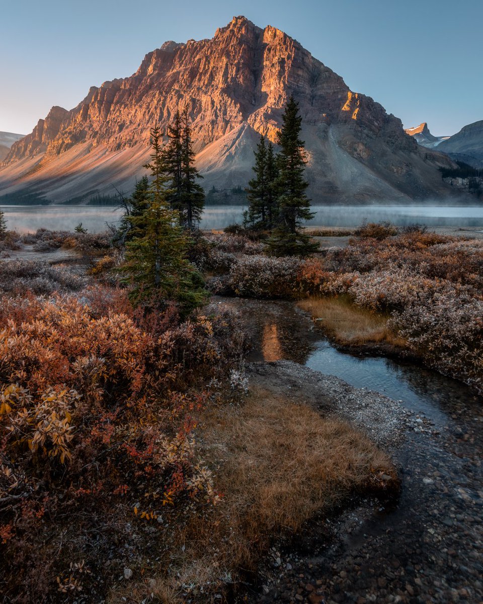 danschyk's tweet image. Bow Lake, Banff