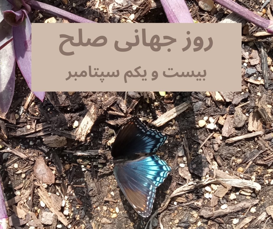 jon_language's tweet image. روز جهانی صلح
بیست و یکم سپتمبر