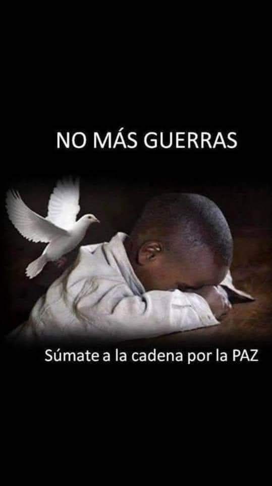 Eduardo700220's tweet photo. Detengamos un instante nuestro andar pensemos todos estamos de paso en una vida efímera, por qué no entonces VIVIRLA en paz.#DiaMundialporlaPaz. #Cesen las Guerras!!!
#ArtemisaJuntosSomosMás
#15AñosArtemisa https://t.co/ypw8JJa3N3
