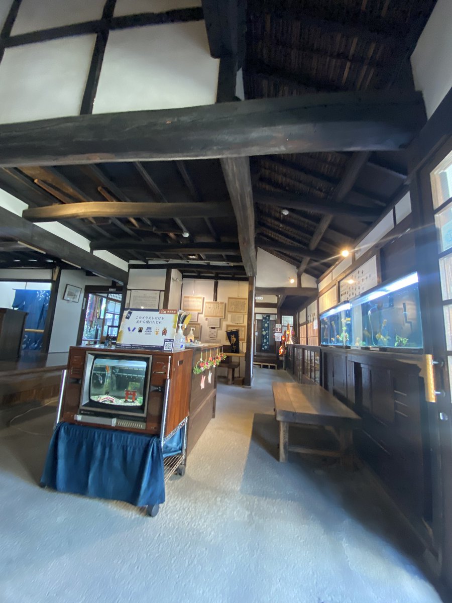 会場の箱本館紺屋は江戸時代から続く藍染め商の町家を再利用した施設です。そちらを使わせていただきます。金魚と藍染や豊臣秀長の資料が展示されてます。
かつて染物屋が多く集まっていて町の中心を流れる水路（紺屋川）は、染めた布や糸を晒すために使われていたと言われています。
#金魚撩乱2025