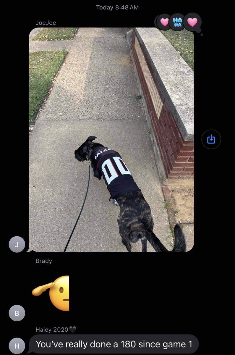 EmilyA_Schmidt's tweet photo. reality of a falcons fan I guess https://t.co/uabKLOFyN2