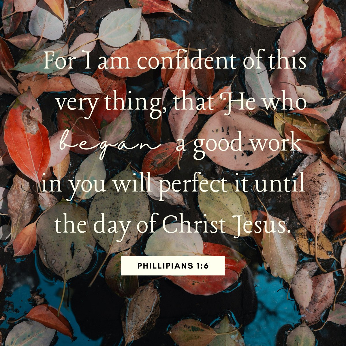 City Rescue Mission (@crmjax) on Twitter photo Scripture Sunday Scripture Sunday
