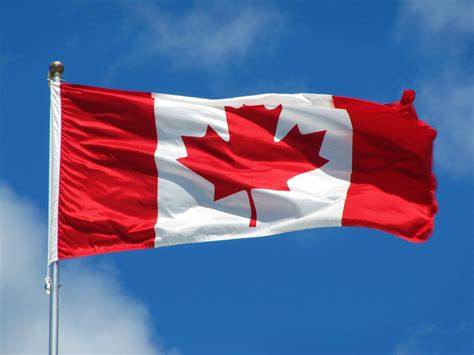 CANADA

BAD:   Honking horn.

GOOD: Support a terrorist group and call for genocide.