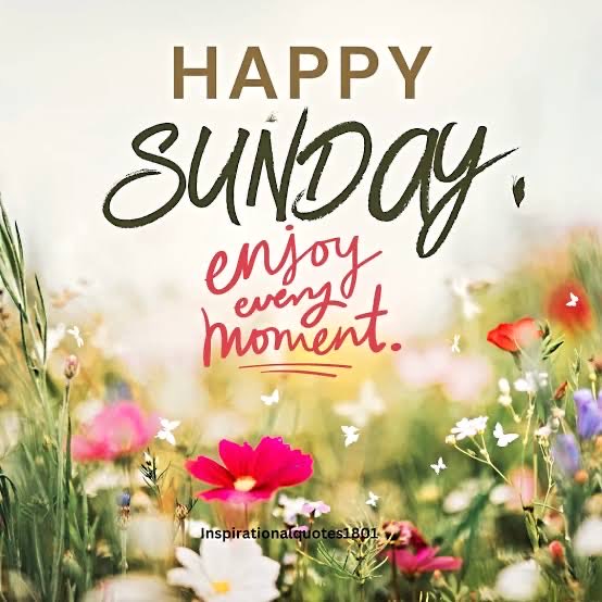 Good morning! Happy Sunday! Enjoy! 💕🤗💕