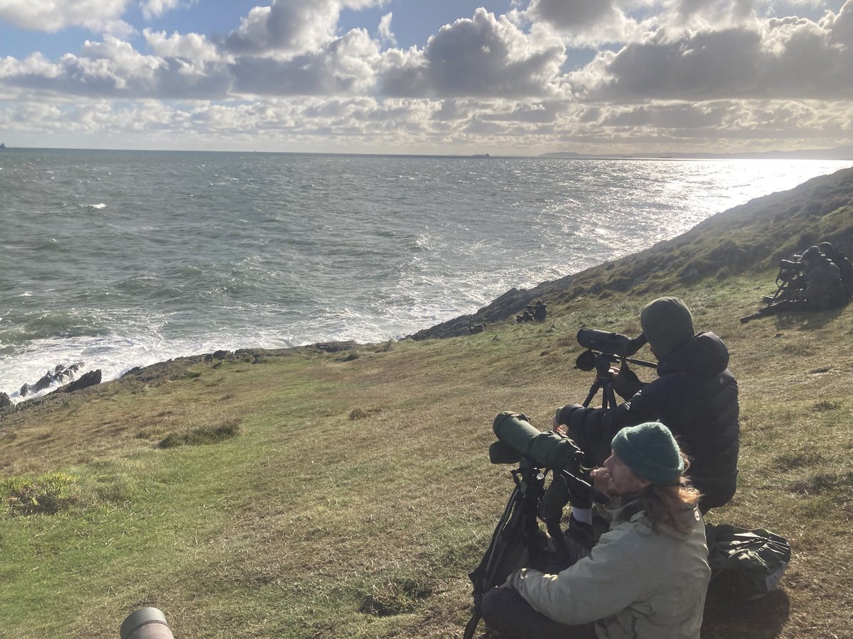 Alan Davies tweet media