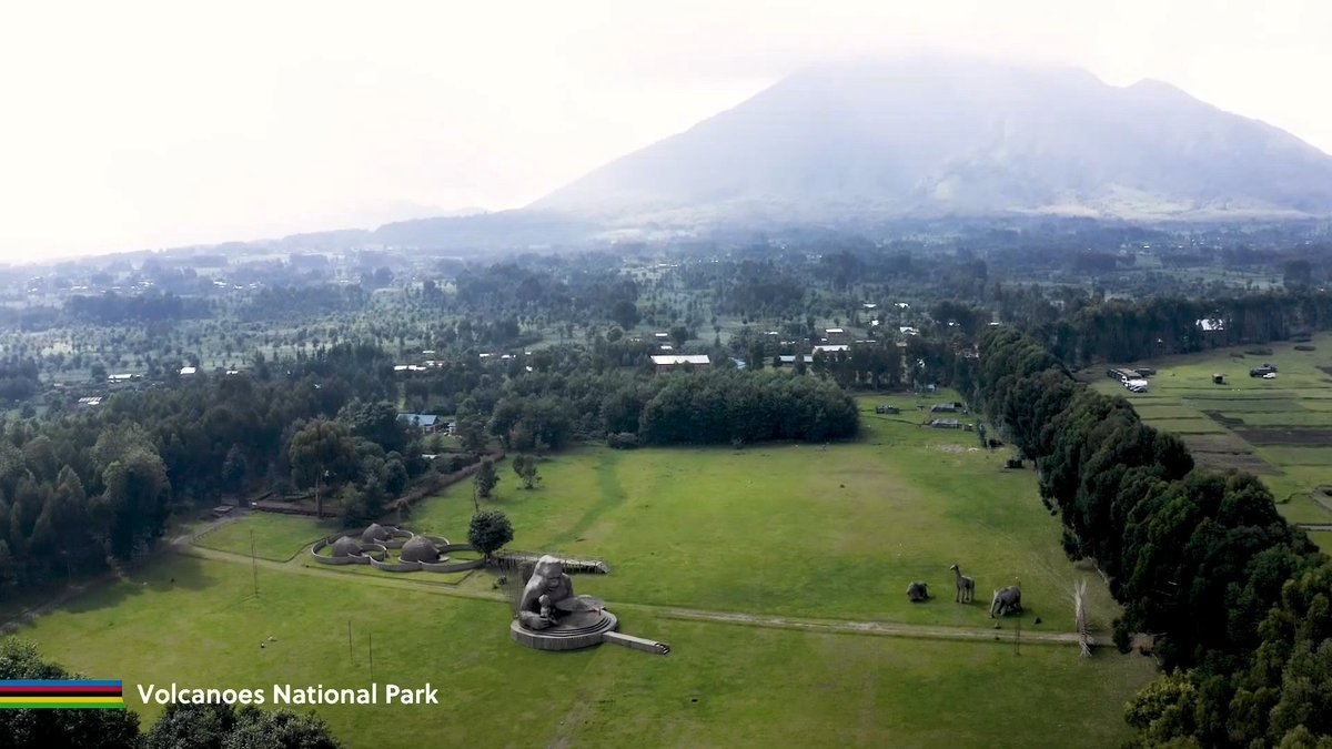 Volcanoes National Park

Entre volcanes y niebla, el Parque Nacional de los Volcanes es el hábitat de los gorilas de montaña, conocidos por Dian Fossey. 🦍

Para los pobladores sus cráteres eran morada de la diosa Nyabinghi 🌋

#RWANDA2025
#Kigali2025
#UCIWorldChampionship2025