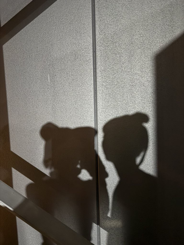 juju_kamichan's tweet photo. 大阪万博フェスティバルステーションでの演劇が終演いたしました🐕
遊びもお仕事も全力、二日間合計40000歩、歩いてましたぁ🐾
展示や建物、パピリオンが楽しくて楽しくて終始アドレナリンでてた。
この場所でお仕事できたことも、色々なメッセージや人や国と触れ合えたことも、全てに感謝して…ほんまおおきにっ🤍！！