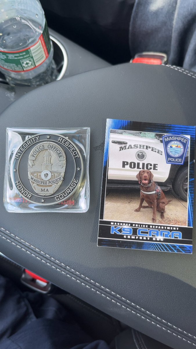 Braden Clifford tweet media