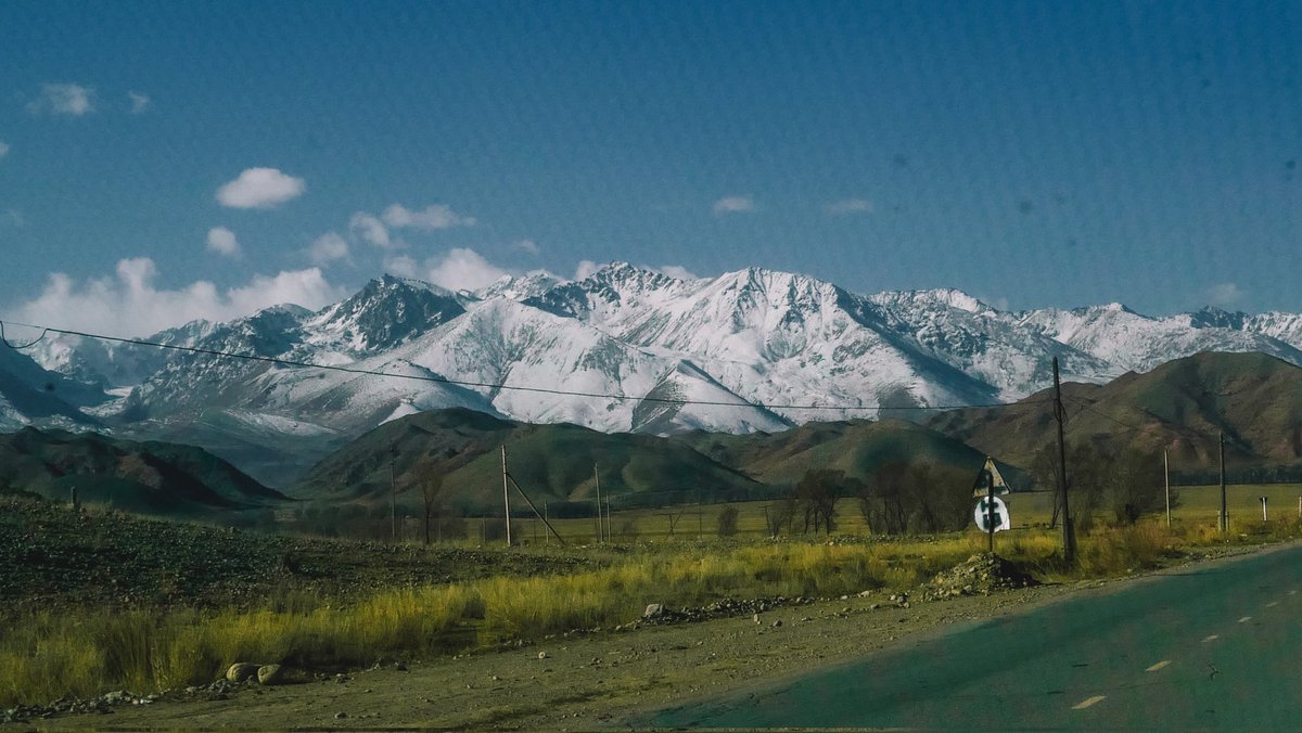 แกลลารี่ 🏔️ tweet media