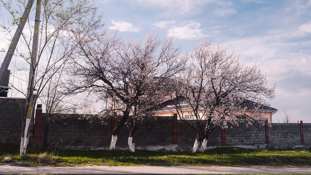 แกลลารี่ 🏔️ tweet media