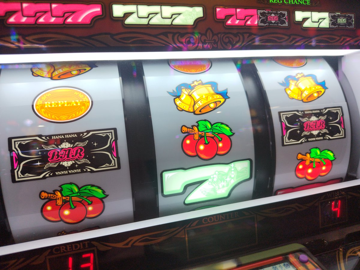 はなはなさま専用フォロー割引 なばな様・専用出品① Y029/麗刺玉の開花 | はなはなGさんの花